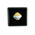 Local Section Past Chair Pin  Product Image