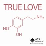 True Love Decal Product Image