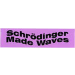 Schrodinger Made Waves Bumper Sticker Product Image